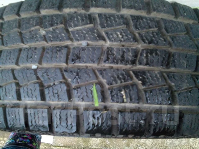 Northtrek. ������, 2012 ���, ����� ����