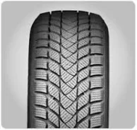 Landsail Winter Lander. ������, 2012 ���, ����� ����