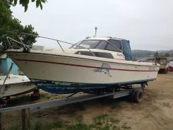 Yamaha F-24. 1994 ���, ��������� ���������, ������ ����