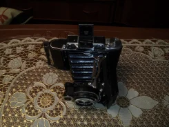 ������ ����
