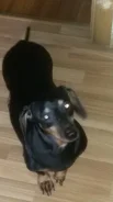 �����.