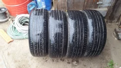 Dunlop DR-36. ������, 2012 ���, 50�%, 4 ��