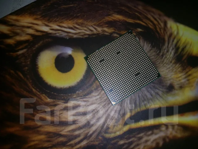 AMD Athlon II X2 240 ����