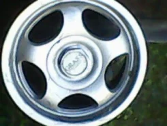 Grass CF. x6