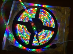 �����. ����