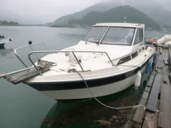 Miyama. 1993 ���, ����� 7��., ��������� ���������, 140��.�., ������. ��� ����� �� ������������ ����