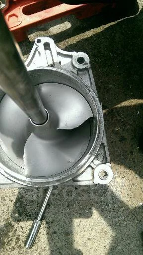 ������ �����������. ����