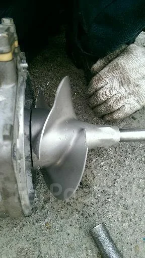 ������ �����������. ����