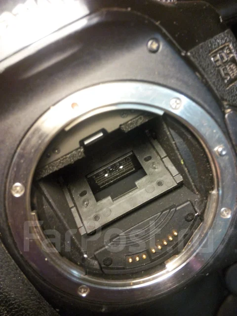 Canon EOS 5D Body ����