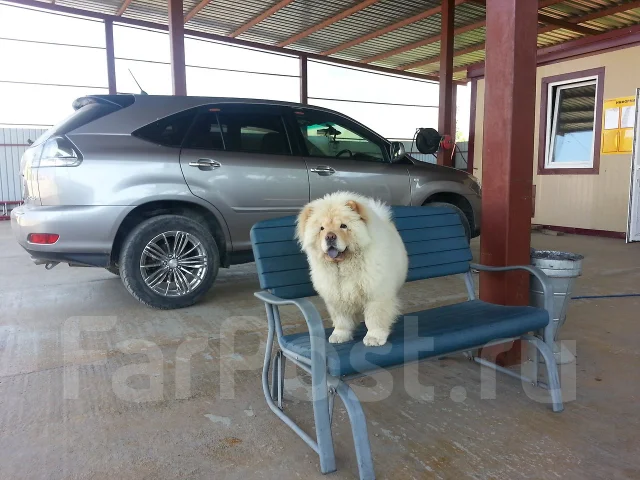 Rota PWR-RA. 6.5x15", 5x100, ET35, �� 73,1���. ����
