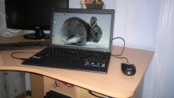 Asus X55VD. 2,4����, ��� 4 ��, ���� 500���, WiFi, ����������� �� 4��. ����
