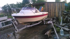 Yamaha Fish 15. 1993 ���, ����� 3,5��., ��������� ���������, 55��.�., ������ ����