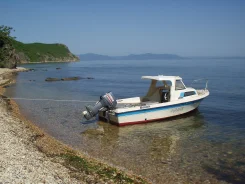 Yamaha Fish 17. 1990 ���, ��������� ���������, ������ ����