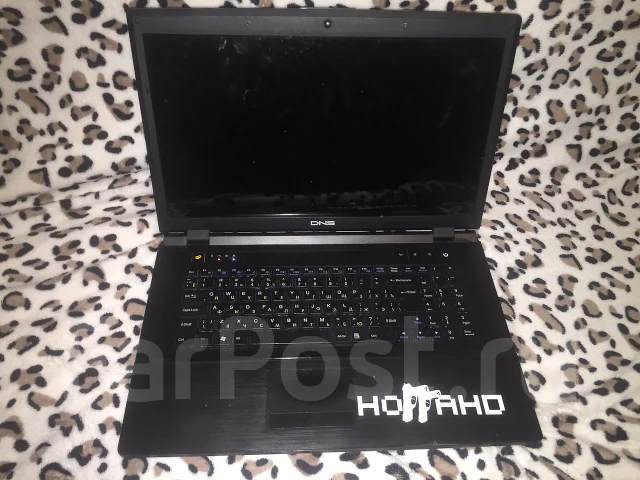 DNS Gamer. ���� 1���, WiFi: 1, ����������� �� 2��. ����