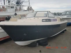 Yamaha F-24. 1990 ���, ��������� ���������, ������ ����