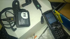 Motorola ����
