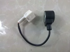 ������ ��������� ����