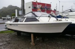 Yamaha FR-17. 1992 ���, ��������� ���������, ������ ����