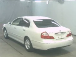 Nissan Cima. GNF50 ����
