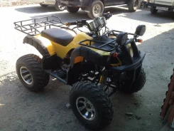 Yamaha Raptor 250. ��������, ��, �� ����