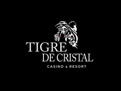 �������� �� �����. ��� ����1 �������������. �������� 100-����� ������������ 155 ���. 5 ����