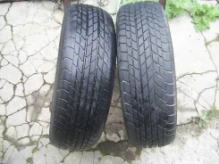 Bridgestone SF-248. ������, 5�%, 2 ��