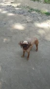 ������������ �������. ����