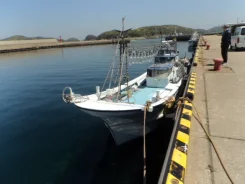 Yanmar. 1997 ���, ��������� ������������, ������. ��� ����� �� ���������� ����
