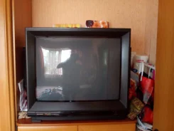 Sharp. CRT (���)