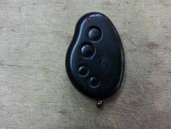 Black Bug.