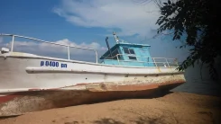 Yanmar. 1995 ���, ��������� ������������, ������ ����