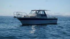 Yamaha FC-27. ��������� ������������, ������. ��� ����� �� ��������������-����������� ����