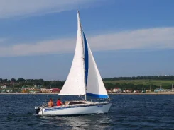 ���� ��������. 1989 ��� ����
