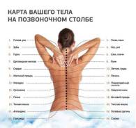 Здоровый позвоночник – оздоровительная гимнастика!