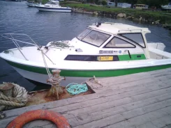 Yamaha F. 1982 ���, ��������� ���������, ������ ����
