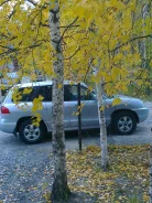 Hyundai Santa Fe Classic ����