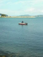 Yamaha ����