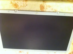 Elenberg. LCD (��) ����