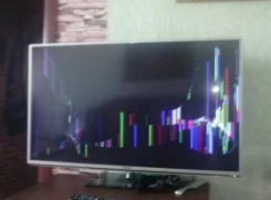 DNS ����
