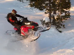 Polaris Switchback 800. ��������, ���� ���, ��� �������. ��� �����