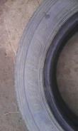 Dunlop SP 65. ������, 2013 ���, 60�%, 6 ��
