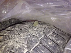 Pirelli P6000 Powergy. ������, ����������, 40�%, 2 ��