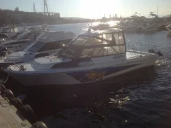 Yamaha F-24. ��������� ������������, ������ ����