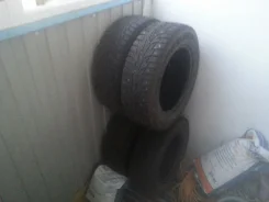 Hankook Winter i*cept RS W 442. ������, ����������, 2014 ���, �/�, ����� 10�%