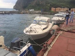 Yamaha FR-22. 1992 ���, ��������� ���������, ������ ����