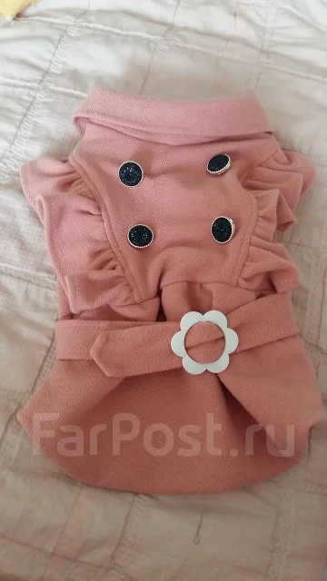 ������. ����