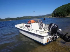 Yamaha UF-20. 1989 ���, ��������� ���������, ������ ����