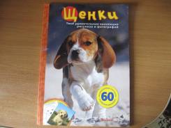 Книжки-игрушки.
