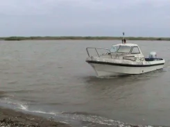 Yamaha Fish 22. 1988 ���, ��������� ���������, ������. ��� ����� �� ������ ����