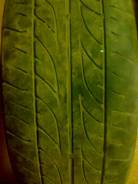 Dunlop SP Sport LM703. Летние, износ: 80%, 1 шт